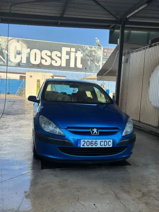 Peugeot 307 2002