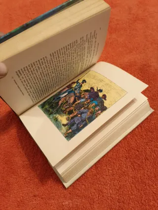 Don Quijote de la Mancha. Ed. Petronio