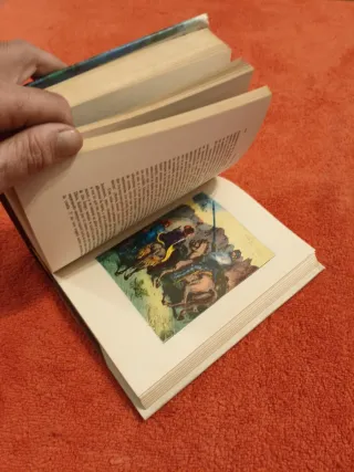 Don Quijote de la Mancha. Ed. Petronio