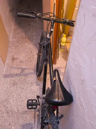 Bicicleta de montaña