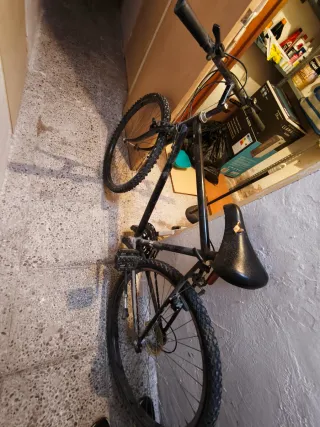 Bicicleta de montaña