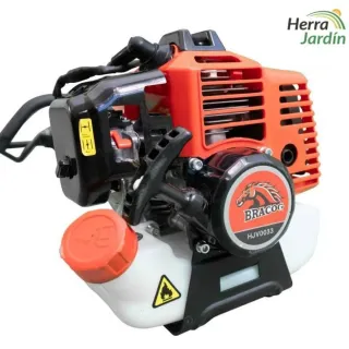 Vareador BRACOG HJV0033 Olivos