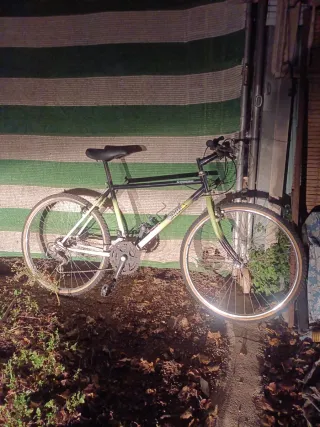 Bicicleta de Montaña