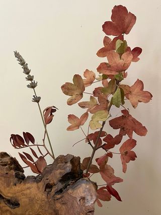 Reloj artesanal de madera natural