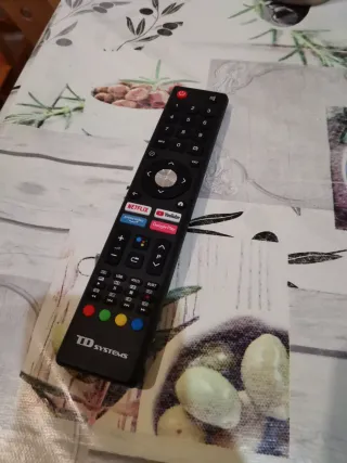 Mando a distancia TD SYSTEMS