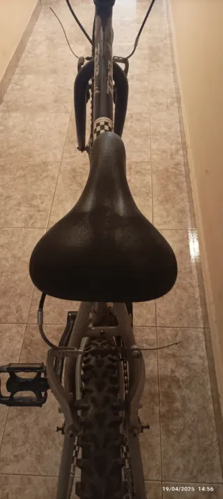 Bicicleta de Montaña