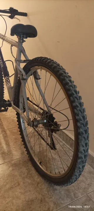Bicicleta de Montaña