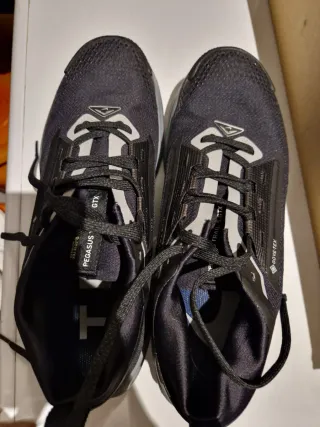 Zapatillas Nike Pegasus Trail 5 GTX