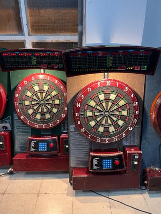 Diana de dardos profesional