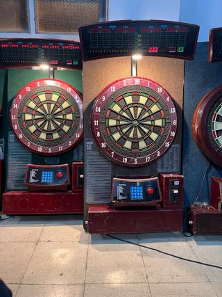 Diana de dardos profesional