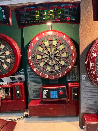 Diana de dardos profesional