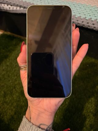 iPhone 12 Multicolor