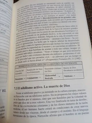 Nietzsche. Crepúsculo de los ídolos (Spanish Ed...