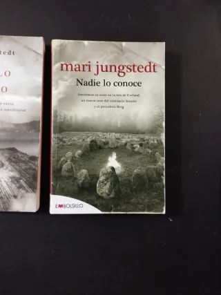 Nadie lo ha visto: Una novela de suspense en la...