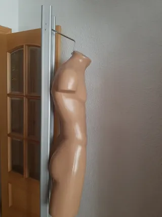 Maniquí Torso Masculino con Soporte Metálico