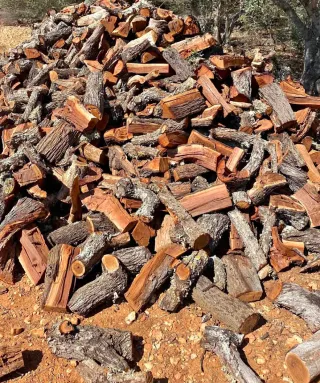 Leña de almendro seca