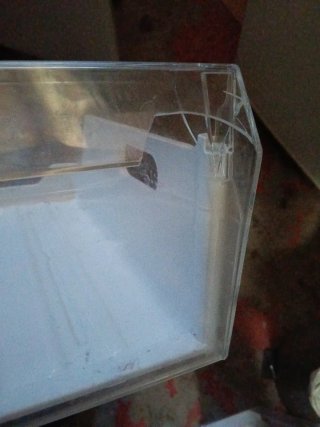 Cajón Congelador Blanco