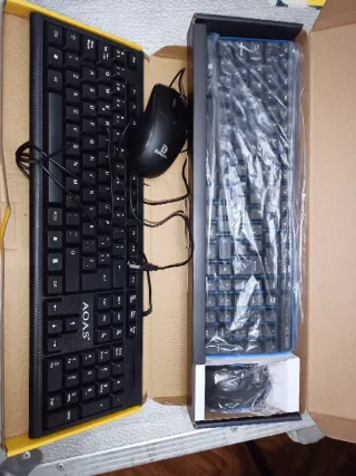 LOTE DOS Teclados para ordenador
