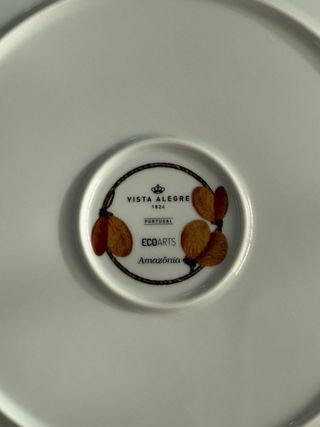 Plato Presentación Vista Alegre Amazonía