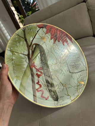 Plato Presentación Vista Alegre Amazonía