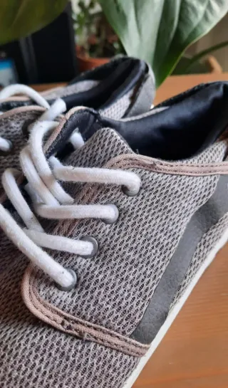 Zapatillas casual Etnies