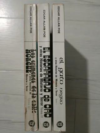 El gato negro y otras historias de misterio... *