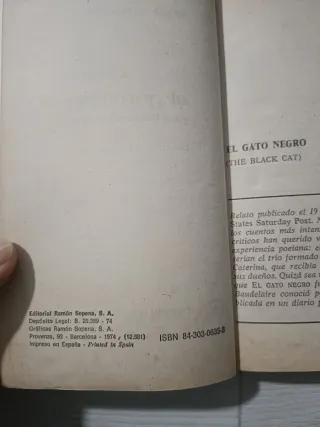 El gato negro y otras historias de misterio... *