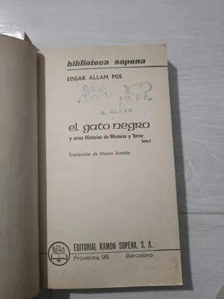 El gato negro y otras historias de misterio... *