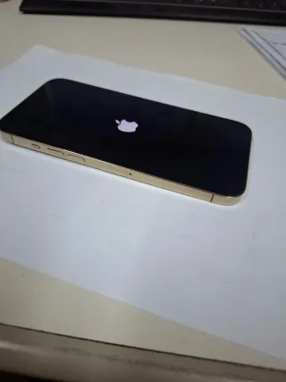 iPhone 12 Pro Max 256GB Oro