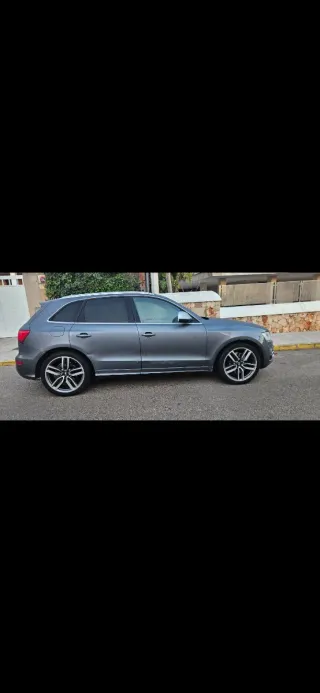 Audi SQ5 2016