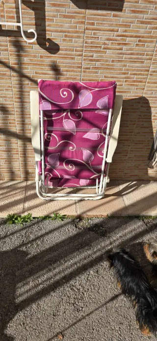 Tumbonas plegables con cojín estampado