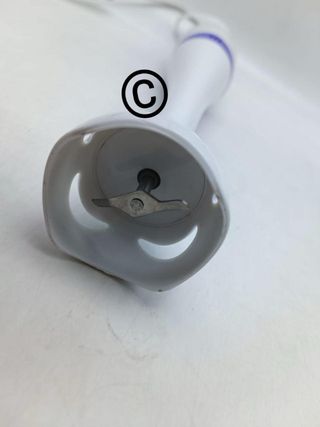 Frullatore ad immersione 250W royalty line