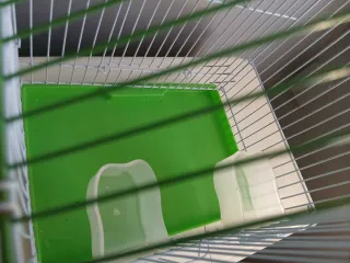 Jaula para pájaros verde y blanca