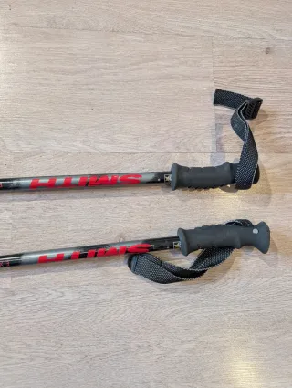 Skis Elan PSX Predator Parabolic hombre 176 CM