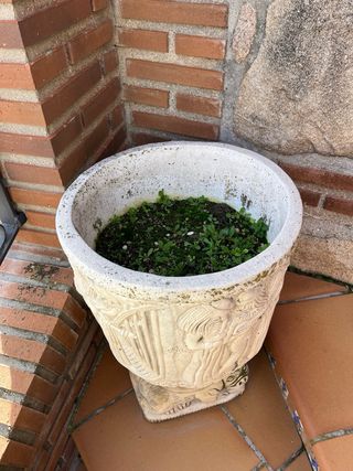 Jardinera de piedra decorada