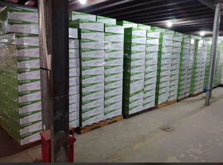 OFERTON!!Ventiladores de Techo con Luz Elecsan.