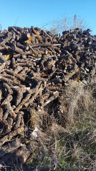 Leña de almendro para chimenea 100 € remolque