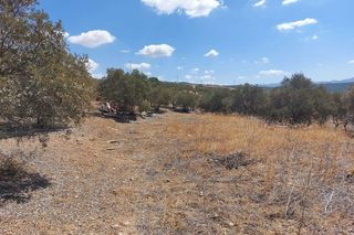 Terreno en venta en Álora