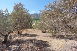 Terreno en venta en Álora