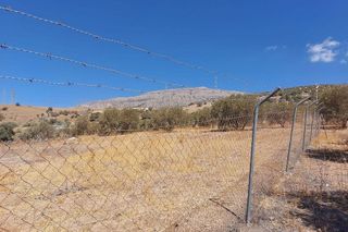 Terreno en venta en Álora