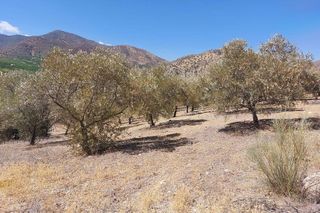 Terreno en venta en Álora