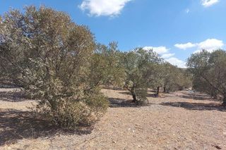 Terreno en venta en Álora