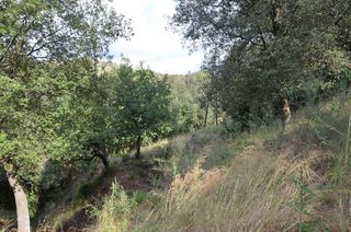 Terreno en venta en Sant Pere de Vilamajor