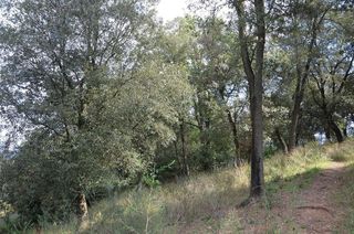 Terreno en venta en Sant Pere de Vilamajor