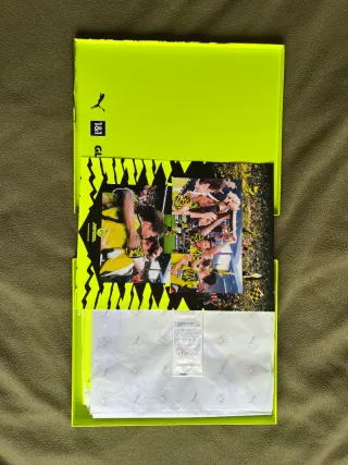 CAMISETA ORIGINAL BORUSSIA DORTMUND 24-25