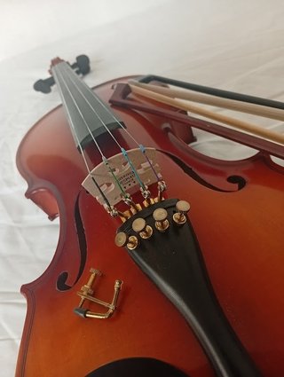 VIOLÍN PROFESIONAL 4/4