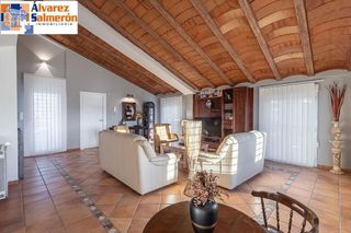 Chalet en venta en Gójar