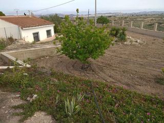 Chalet en venta en Novelda