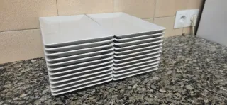 Juego de 24 Platos Rectangulares