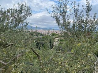 Terreno en venta en La Cogullada en Terrassa